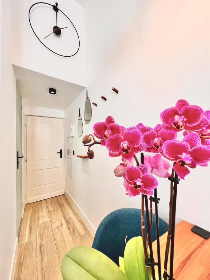Duplex Le Gesu - Heart Of Old Town - Modern - Wifi - Clim Apartamento Niza Exterior foto